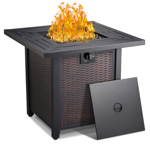 Latitude Run® 25'' H x 28'' W Iron Propane Outdoor Fire Pit with Lid